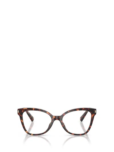 Michael Kors Eyeglasses In Brown
