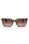 Michael Kors Honolulu 55mm Gradient Square Sunglasses In Brown