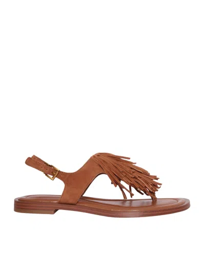 Michael Kors Indra Thong Sandal In Brown