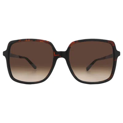 Michael Kors Isle Of Palms Brown Gradient Square Ladies Sunglasses Mk2098u 378113 56