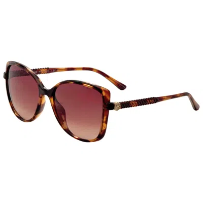 Michael Kors Malta Women's Sunglasses In Brown