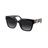 Michael Kors Woman Sunglass Mk2170u Karlie