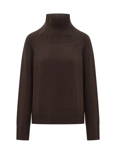Michael Kors Turtleneck Sweater In Brown