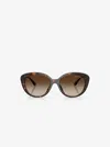 Michael Kors Outlet Fair Harbor Sunglasses In Brown