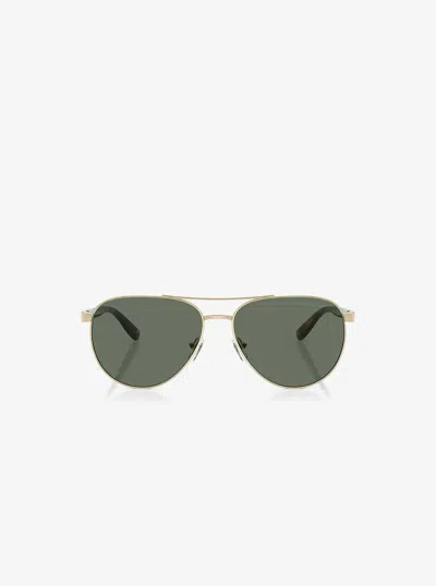 Michael Kors Outlet Toulon Sunglasses In Brown