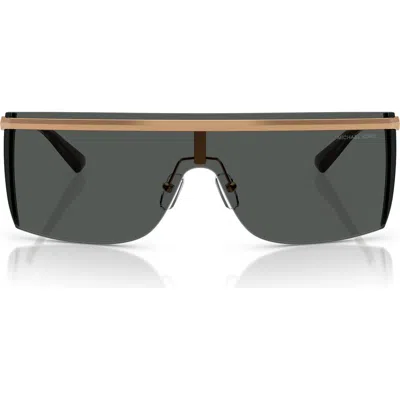 Michael Kors Palisades 145mm Shield Sunglasses In Animal Print