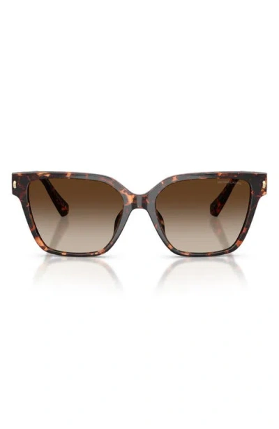 Michael Kors Piedmont 56mm Square Sunglasses In Brown