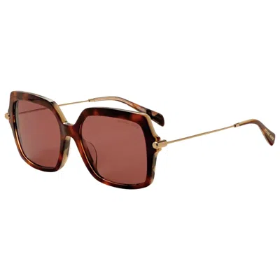Michael Kors Quogue Women's Sunglasses In Brown