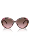 Michael Kors San Lucas 56mm Gradient Round Sunglasses In Tortoise