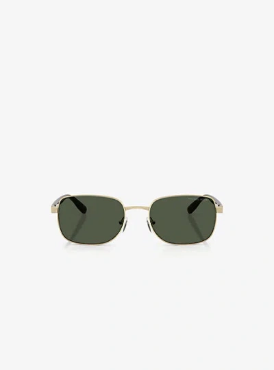Michael Kors São Paulo Sunglasses In Brown
