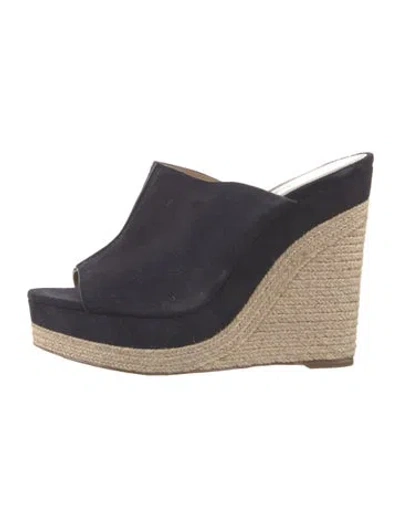 Pre-owned Michael Kors Suede Espadrilles In Blue