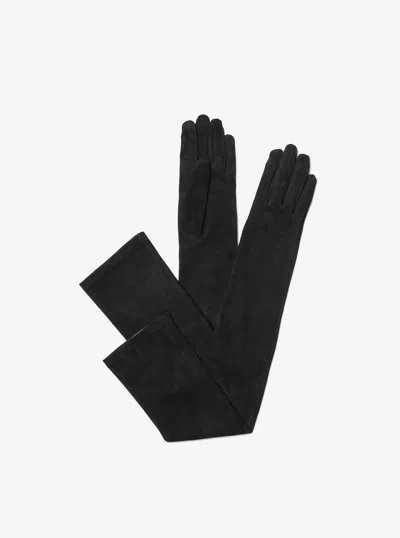 Michael Kors Suede Opera Gloves In Black