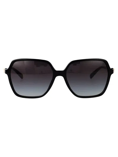 Michael Kors Sunglasses In Black