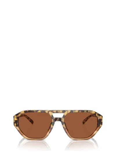 Michael Kors Sunglasses In Brown Tortoise