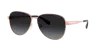 Michael Kors Woman Sunglass Mk1160 Biarritz In Grey Gradient Polar