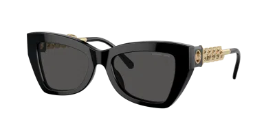 Michael Kors Woman Sunglass Mk2205 Montecito In Brown