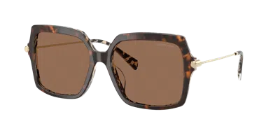 Michael Kors Woman Sunglass Mk2247u Quogue In Brown