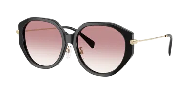 Michael Kors Woman Sunglass Mk2248d Jinan In Black