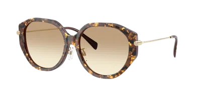 Michael Kors Woman Sunglass Mk2248d Jinan In Brown