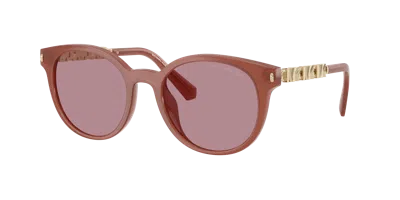 Michael Kors Woman Sunglass Mk2264u Pienza In Brown