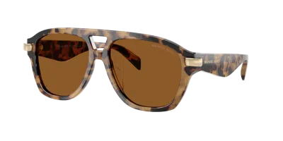 Michael Kors Woman Sunglass Mk2277u Grenada In Brown