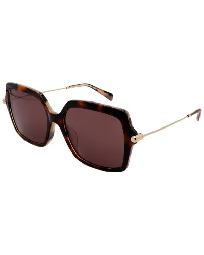 Michael Kors Women's Mk2247u 55mm Sunglasses In Brown