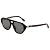 Michael Kors Women's Sunglasses In Brown