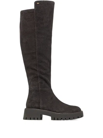 Michael Michael Kors Asher Suede Boots In Brown