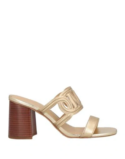 Michael Michael Kors Woman Sandals Platinum Size 7 Leather In Grey