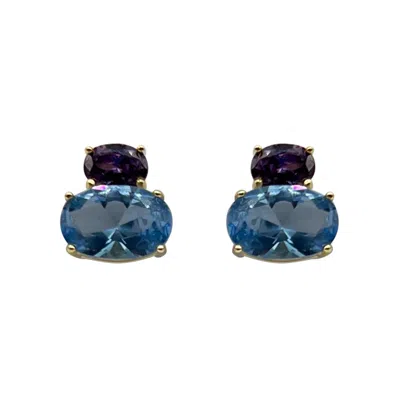Michael Nash Jewelry Women's Amethyst And Aquamarine Cubic Zirconium Oval Button Earrings In Sterling Silver Vermeil In Multi