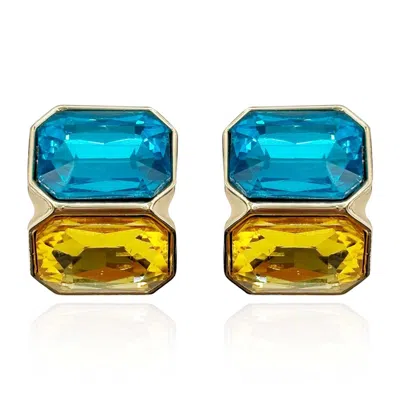 Michael Nash Jewelry Women's Blue / Brown Aqua And Topaz Double Stone Clip Earrings In Multi