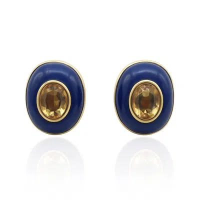 Michael Nash Jewelry Women's Blue / Brown Stephanie Lapis Resin Clip Earring With Smoke Topaz Glass Stone In Multi