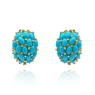 Michael Nash Jewelry Women's Blue Multi-stone Glass Turquoise Clip On Earrings In Gold Plating