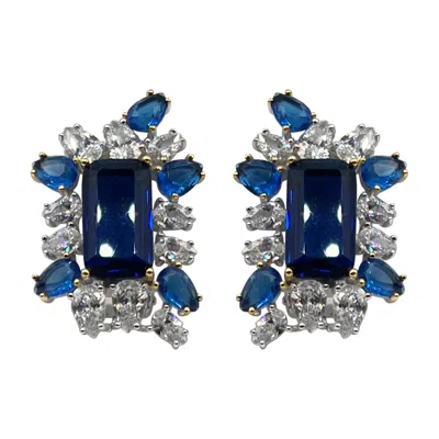 Michael Nash Jewelry Women's Blue Sapphire Sterling Silver Octagon Clip On Earrings