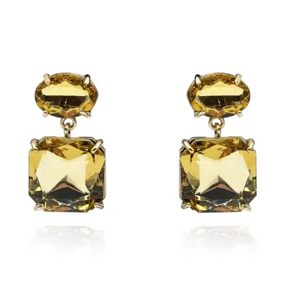 Michael Nash Jewelry Women's Brown / Gold Champagne Double Stone Drop Gold Plated Earrings In Multi