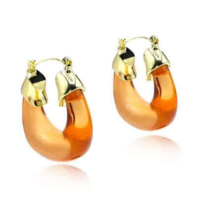 Michael Nash Jewelry Women's Brown Topaz Resin And Gold Hoop Earrings