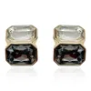 Michael Nash Jewelry Women's Gold / Black Crystal And Black Diamond  Double Stone Clip Earrings