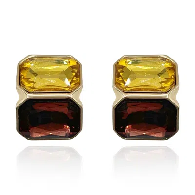 Michael Nash Jewelry Women's Gold / Brown Topaz And Dark Topaz Double Stone Clip Earrings In Multi