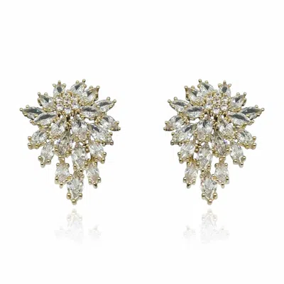 Michael Nash Jewelry Women's Gold / Neutrals Multi Navette Gold Plate Crystal Cluster Clip-on Earrings