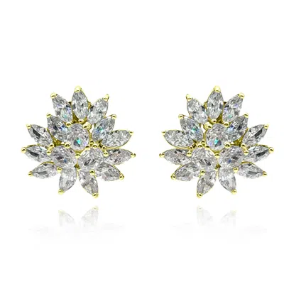 Michael Nash Jewelry Women's Gold / Neutrals Round And Navette Gold Plated Cubic Zirconium Clip On Earrings