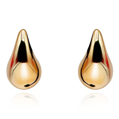 Michael Nash Jewelry Women's Golden Resin Pierced Hoop Earrings