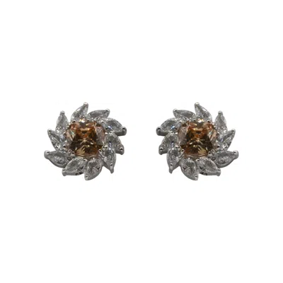 Michael Nash Jewelry Women's Neutrals Champagne And Cubic Zirconium Clip-on Earrings In Sterling Silver In Gray