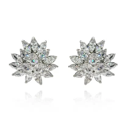 Michael Nash Jewelry Women's Neutrals / Silver Round And Navette Cubic Zirconium Clip On Earrings