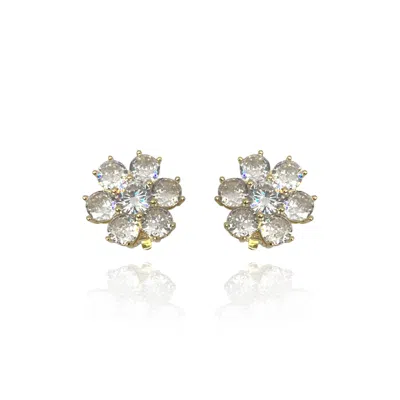 Michael Nash Jewelry Women's Neutrals Sterling Silver Vermeil Clip On Button With Multi Stone Cubic Zirconium In Gray