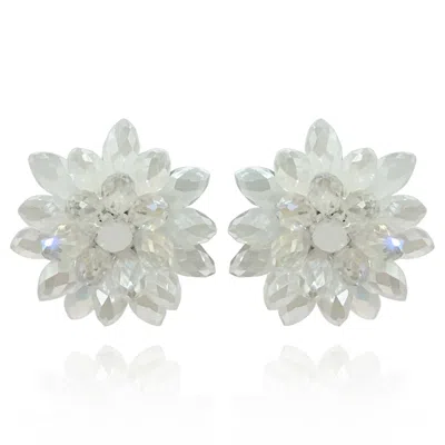 Michael Nash Jewelry Women's White Aurora Borealis And Crystal Faceted Glass Bead Clip On Earring
