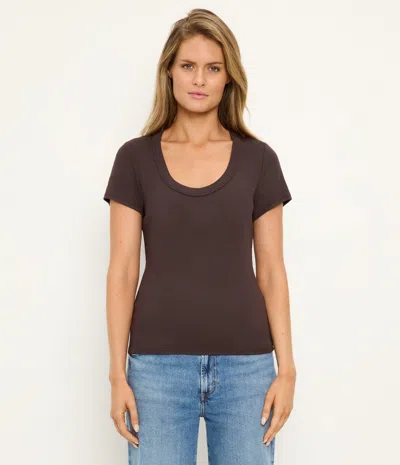 Michael Stars Calla Scoop Neck T-shirt In Brown