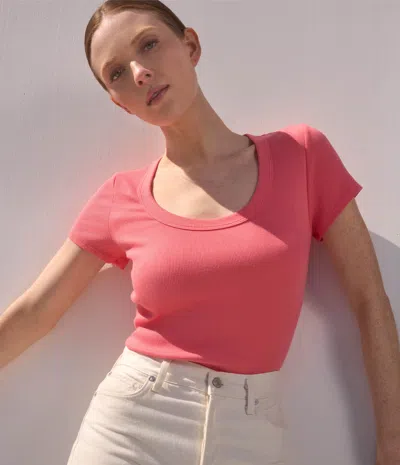 Michael Stars Calla Scoop Neck Tee In Pink