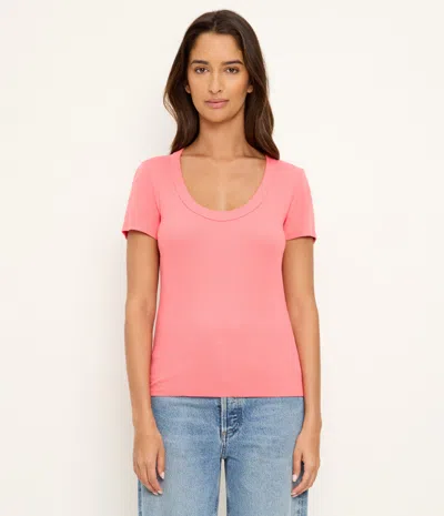 Michael Stars Calla Scoop Neck T-shirt In Pink