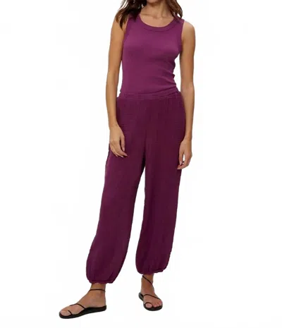 Michael Stars Clover Jogger Pants In Grape In Purple
