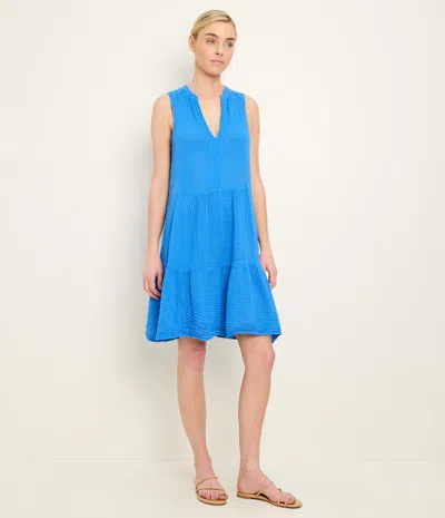 Michael Stars Daisy Gauze Dress In Blue